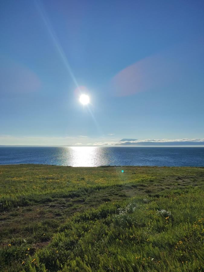 Happy-Cove Guesthouse - By The Sea Bakkafjorthur Εξωτερικό φωτογραφία