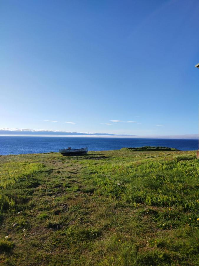 Happy-Cove Guesthouse - By The Sea Bakkafjorthur Εξωτερικό φωτογραφία