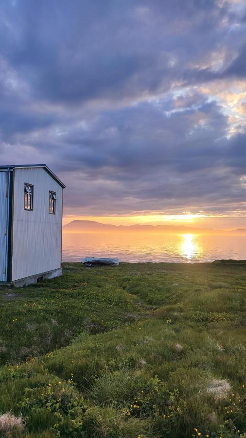 Happy-Cove Guesthouse - By The Sea Bakkafjorthur Εξωτερικό φωτογραφία
