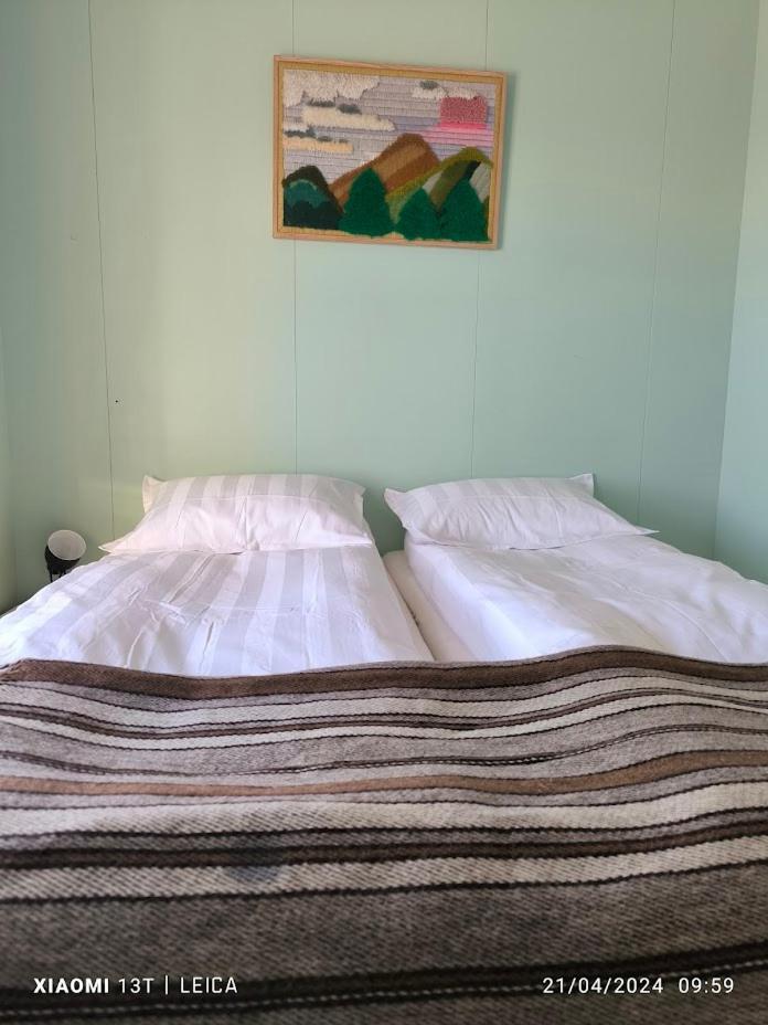 Happy-Cove Guesthouse - By The Sea Bakkafjorthur Εξωτερικό φωτογραφία